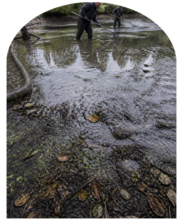 Очистка пруда в Дивногорске от ила мусора и водорослей с вывозом
